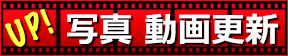 写真と動画の更新